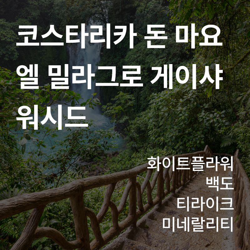 제품이미지